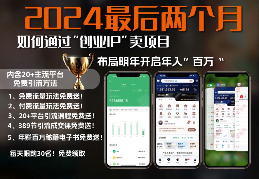 2024最后两个月如何通过”创业IP“卖项目年入”百万“,创业IP+最强引流...倾城领域-倾城领域