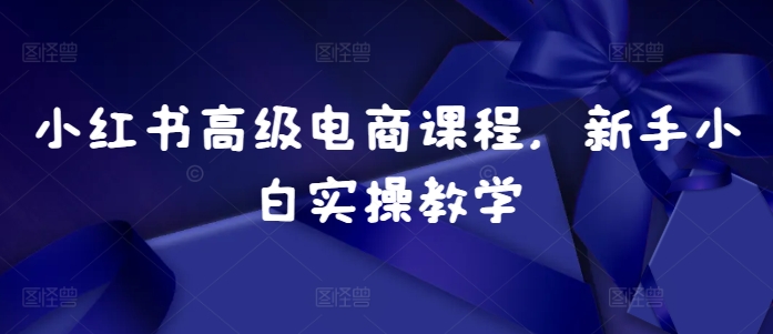 小红书高级电商课程，新手小白实操教学倾城领域-倾城领域