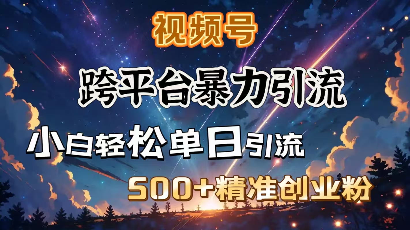 视频号跨平台暴力引流，小白轻松单日引流500＋精准创业粉倾城领域-倾城领域
