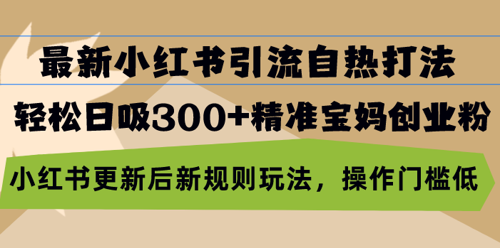 最新小红书引流自热打法，轻松日吸300+精准宝妈创业粉，小红书更新后新…倾城领域-倾城领域