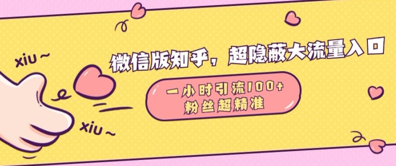 微信版知乎，超隐蔽流量入口1小时引流100人，粉丝质量超高【揭秘】倾城领域-倾城领域