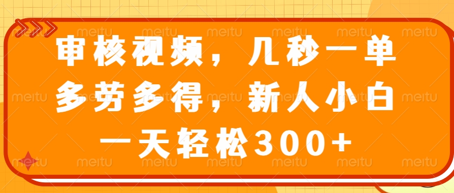 审核视频项目，几秒一单，多劳多得，新人小白一天轻松300+倾城领域-倾城领域