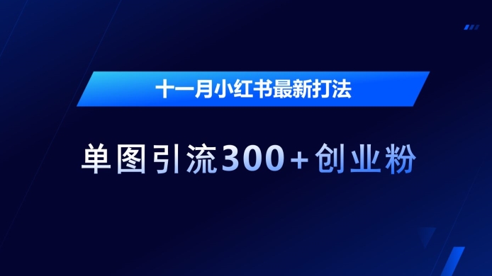 十一月小红书最新打法，单图引流300+创业粉【揭秘】倾城领域-倾城领域