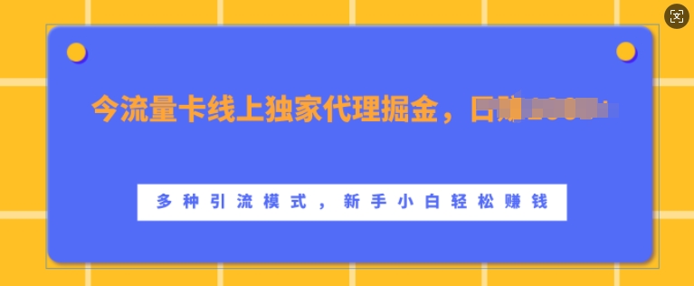 流量卡线上独家代理掘金，日入1k+ ，多种引流模式，新手小白轻松上手【揭秘】倾城领域-倾城领域