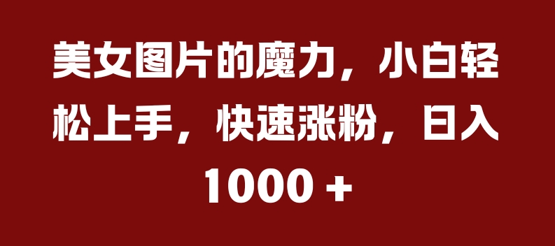 美女图片的魔力，小白轻松上手，快速涨粉，日入几张【揭秘】倾城领域-倾城领域