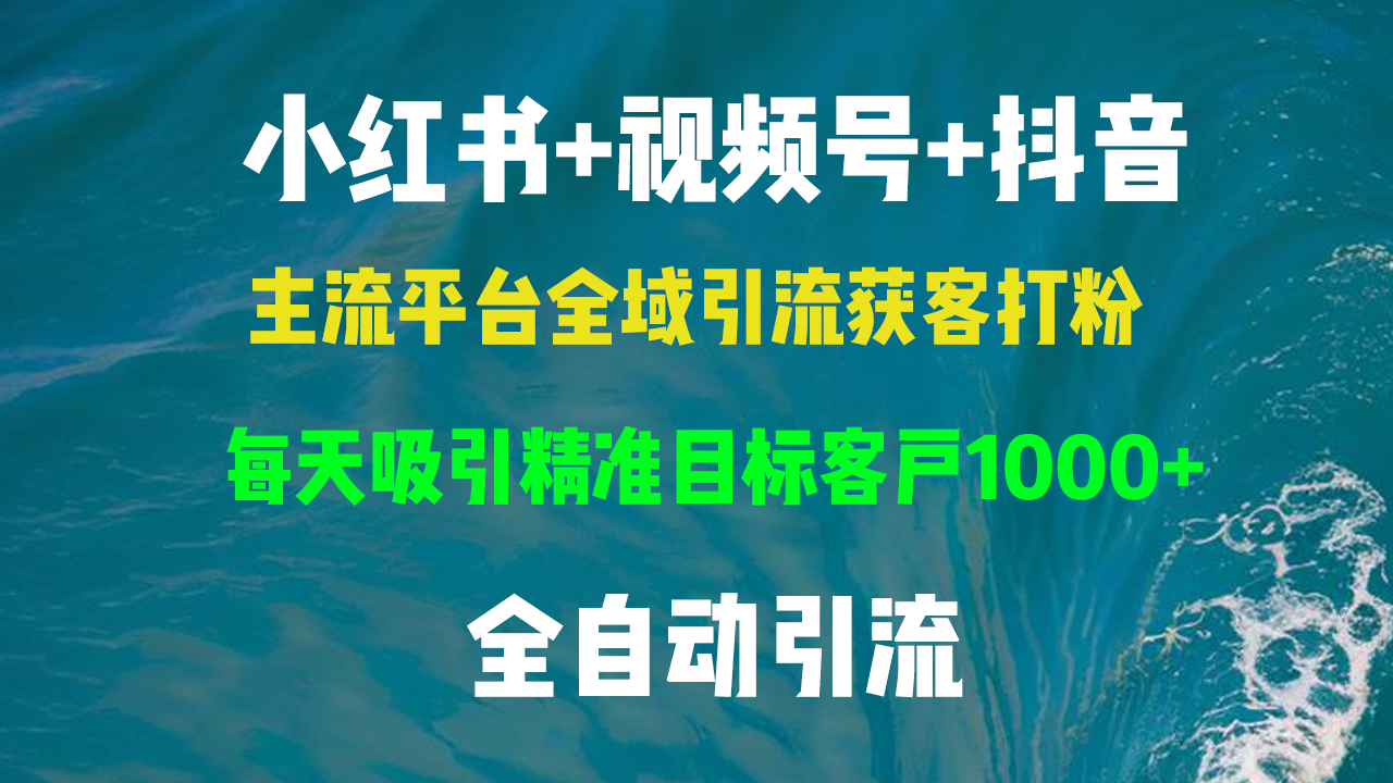 小红书，视频号，抖音主流平台全域引流获客打粉，每天吸引精准目标客户…倾城领域-倾城领域