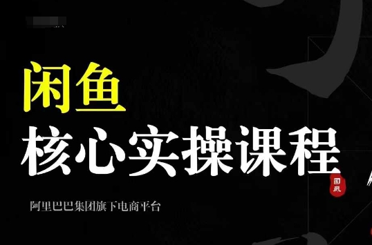 2024闲鱼核心实操课程，从养号、选品、发布、销售，教你做一个出单的闲鱼号倾城领域-倾城领域