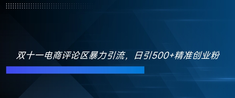 双十一电商评论区暴力引流，日引500+精准创业粉【揭秘】倾城领域-倾城领域
