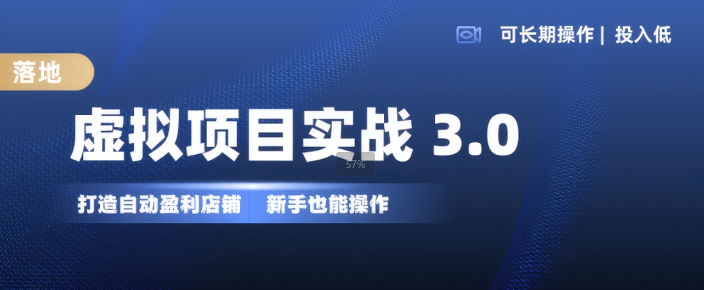 虚拟项目实战3.0，打造自动盈利店铺，可长期操作投入低，新手也能操作倾城领域-倾城领域